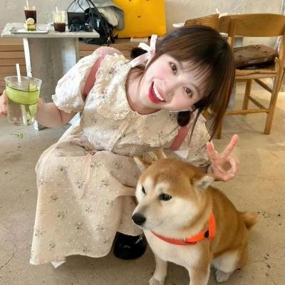 赛马娘 新时代之门配图
